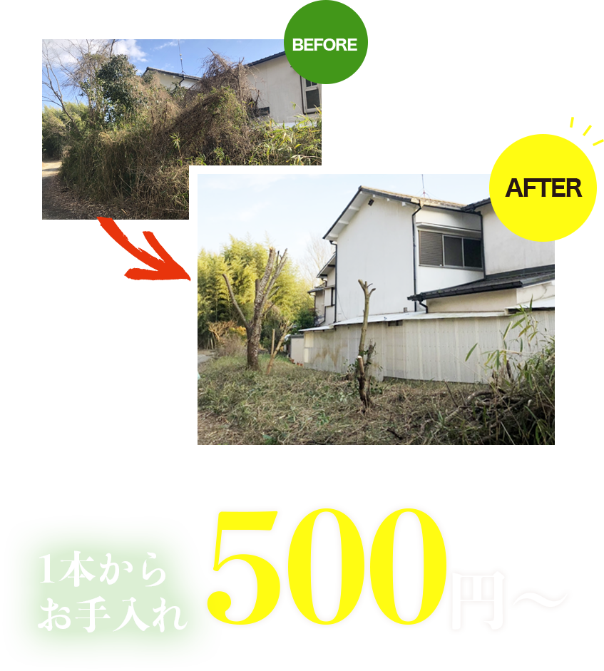 1本からお手入れ500円〜