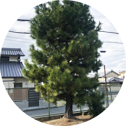 お悩み２
